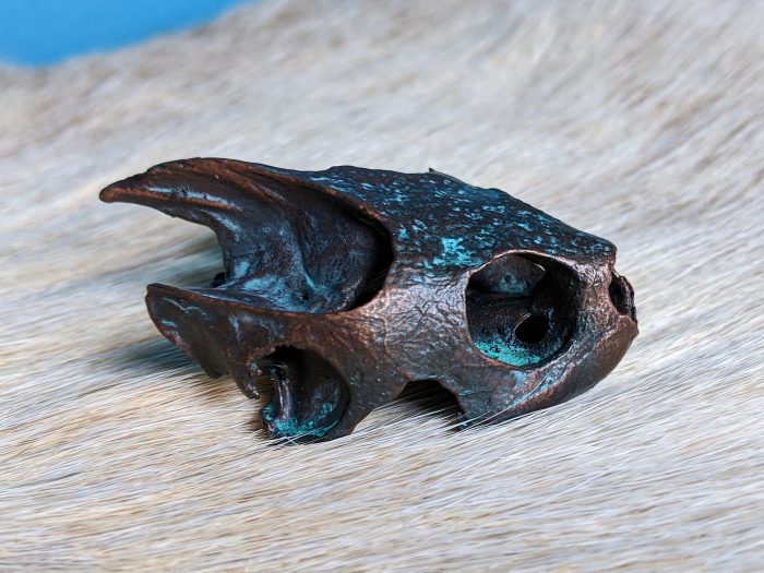 Bronze turtle skull
